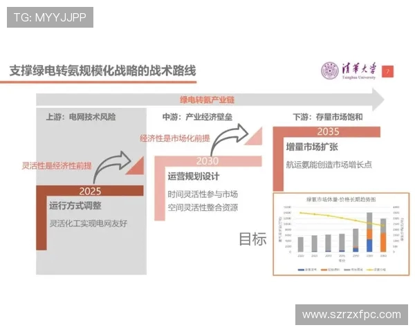 西安篮球队战术解析与发展探讨聚焦球队未来表现与挑战