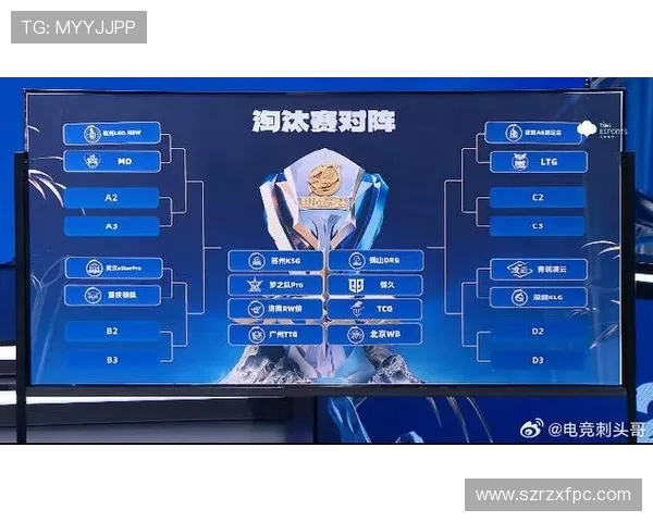 LNG在挑战者杯中的比赛经验与表现分析及总结