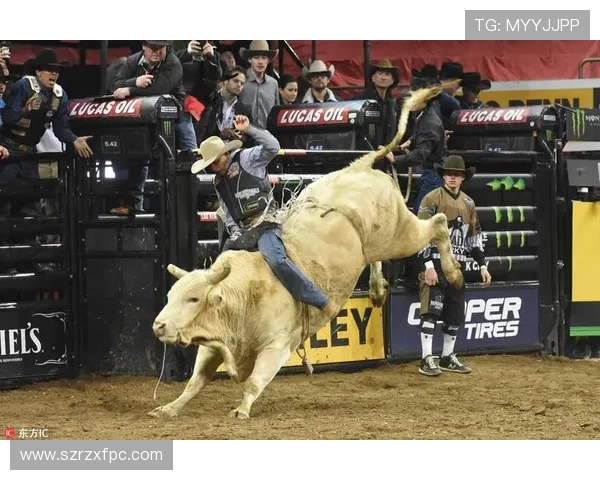 上海极限运动队引领最新耐力运动TOP10榜单挑战极限极致体验